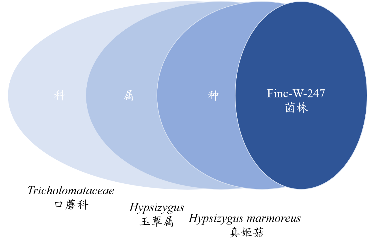 新澳门1肖1码中特